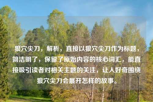 狼穴尖刀,解析,直接以狼穴尖刀作为标题,简洁明了,保留了原始内容的核心词汇,能直接吸引读者对相关主题的关注,让人好奇围绕狼穴尖刀会展开怎样的故事。