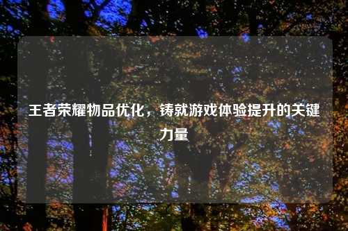 王者荣耀物品优化，铸就游戏体验提升的关键力量