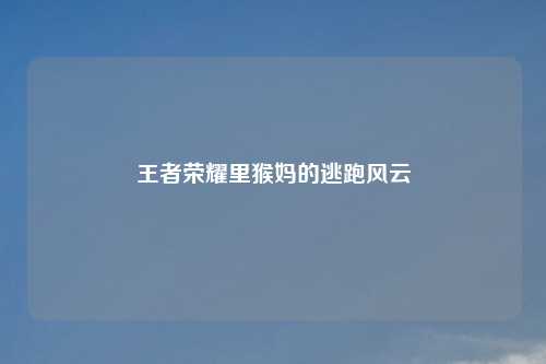 王者荣耀里猴妈的逃跑风云