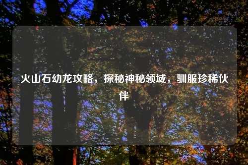 火山石幼龙攻略，探秘神秘领域，驯服珍稀伙伴