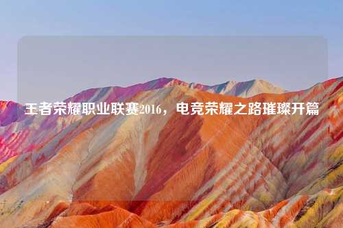 王者荣耀职业联赛2016，电竞荣耀之路璀璨开篇