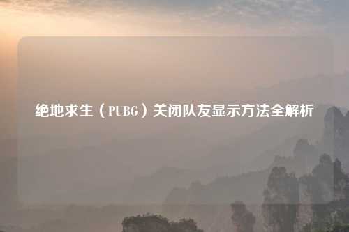 绝地求生（PUBG）关闭队友显示方法全解析