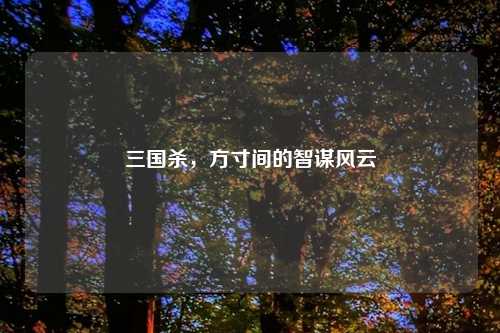 三国杀，方寸间的智谋风云