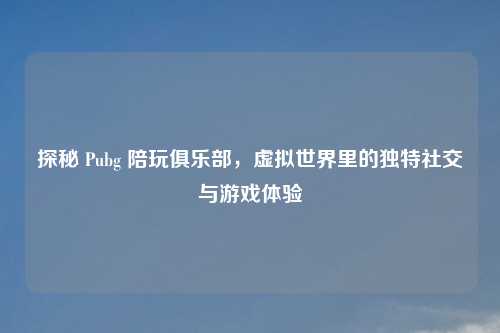 探秘 Pubg 陪玩俱乐部，虚拟世界里的独特社交与游戏体验