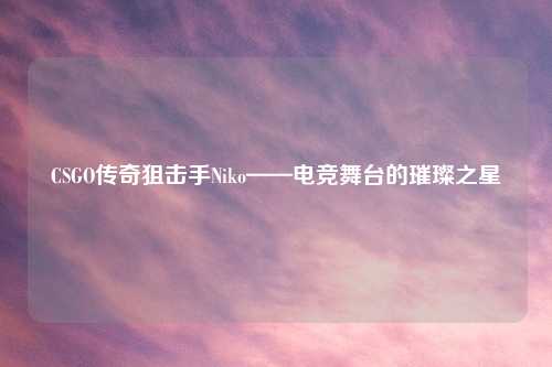 CSGO传奇狙击手Niko——电竞舞台的璀璨之星