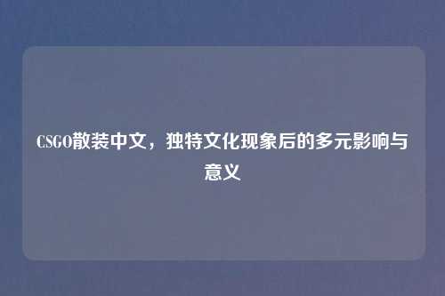 CSGO散装中文，独特文化现象后的多元影响与意义