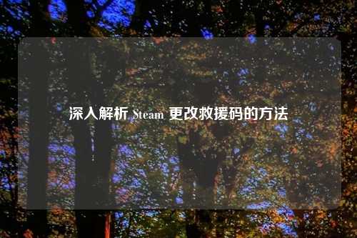 深入解析 Steam 更改救援码的方法