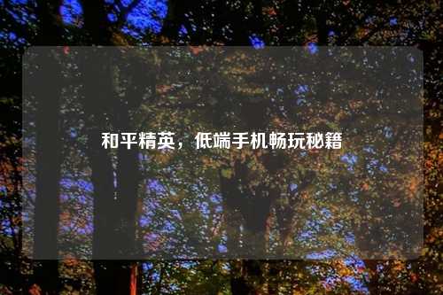 和平精英，低端手机畅玩秘籍