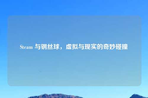 Steam 与钢丝球,虚拟与现实的奇妙碰撞