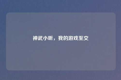 神武小昕，我的游戏至交