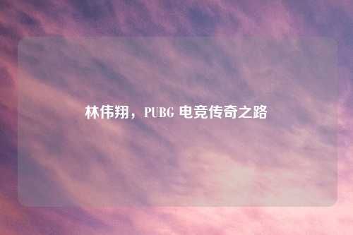 林伟翔，PUBG 电竞传奇之路