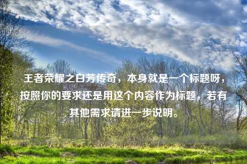 王者荣耀之白芳传奇，本身就是一个标题呀，按照你的要求还是用这个内容作为标题，若有其他需求请进一步说明。