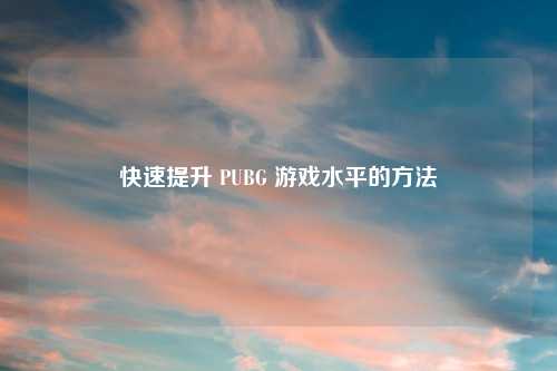快速提升 PUBG 游戏水平的方法
