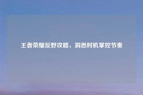 王者荣耀反野攻略，洞悉时机掌控节奏