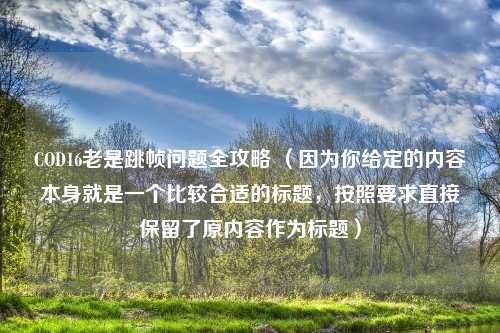COD16老是跳帧问题全攻略 （因为你给定的内容本身就是一个比较合适的标题，按照要求直接保留了原内容作为标题）