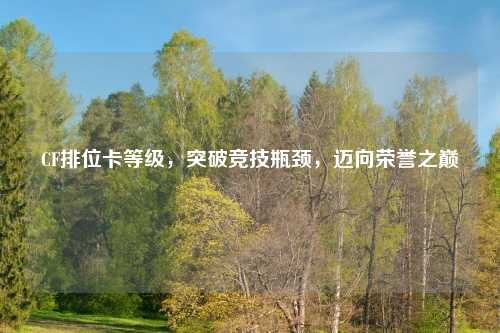 CF排位卡等级，突破竞技瓶颈，迈向荣誉之巅