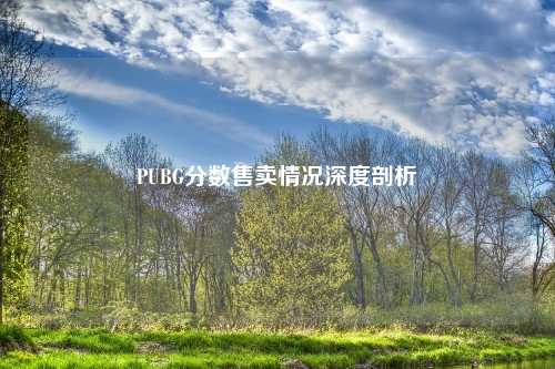 PUBG分数售卖情况深度剖析