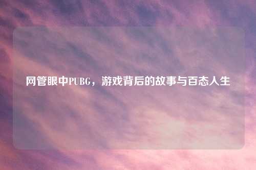 网管眼中PUBG，游戏背后的故事与百态人生