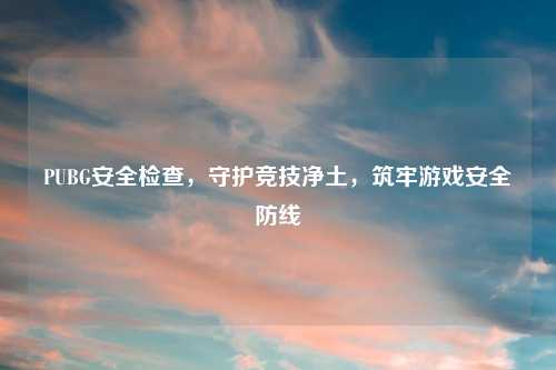 PUBG安全检查，守护竞技净土，筑牢游戏安全防线