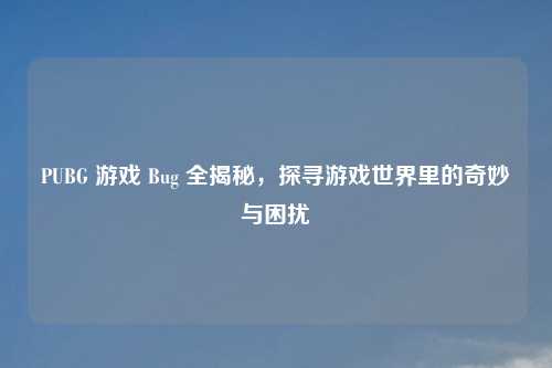 PUBG 游戏 Bug 全揭秘，探寻游戏世界里的奇妙与困扰