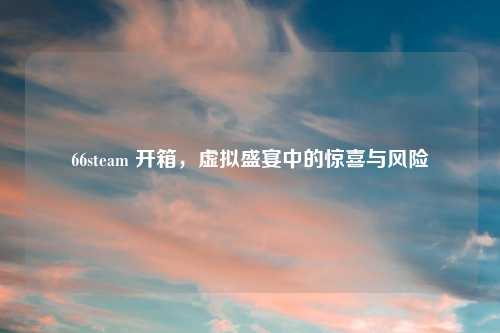 66steam 开箱，虚拟盛宴中的惊喜与风险