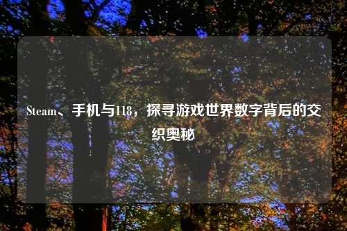 Steam、手机与118，探寻游戏世界数字背后的交织奥秘