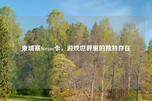 柬埔寨Steam卡，游戏世界里的独特存在