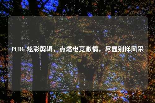 PUBG 炫彩剪辑，点燃电竞激情，尽显别样风采