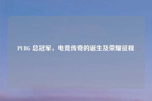 PUBG 总冠军，电竞传奇的诞生及荣耀征程
