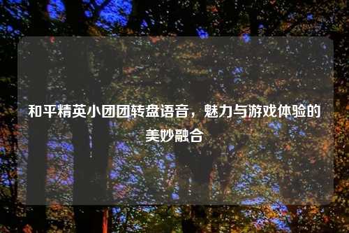 和平精英小团团转盘语音，魅力与游戏体验的美妙融合