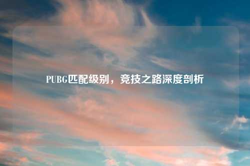 PUBG匹配级别，竞技之路深度剖析
