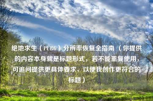 绝地求生（PUBG）分辨率恢复全指南 （你提供的内容本身就是标题形式，若不能重复使用，可追问提供更具体要求，以便我创作更符合的标题）
