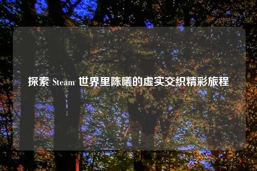 探索 Steam 世界里陈曦的虚实交织精彩旅程
