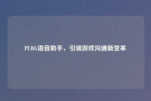 PUBG语音助手，引领游戏沟通新变革