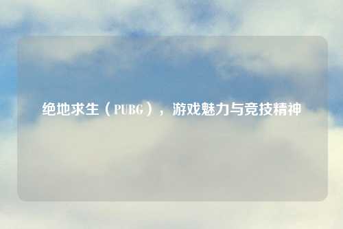 绝地求生(PUBG),游戏魅力与竞技精神