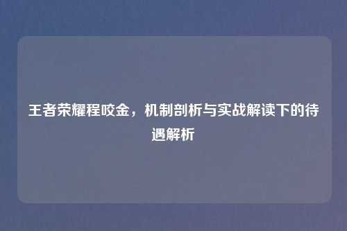 王者荣耀程咬金，机制剖析与实战解读下的待遇解析