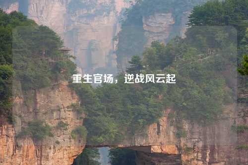 重生官场，逆战风云起