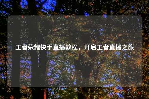 王者荣耀快手直播教程，开启王者直播之旅