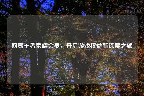 网易王者荣耀会员，开启游戏权益新探索之旅