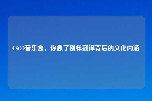 CSGO音乐盒，你急了别样翻译背后的文化内涵