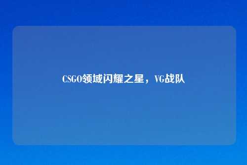 CSGO领域闪耀之星，VG战队