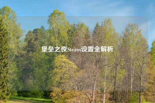 堡垒之夜Steam设置全解析