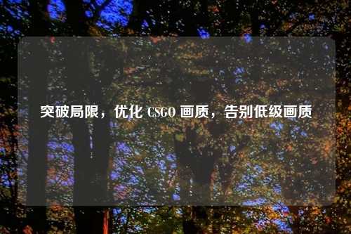 突破局限，优化 CSGO 画质，告别低级画质