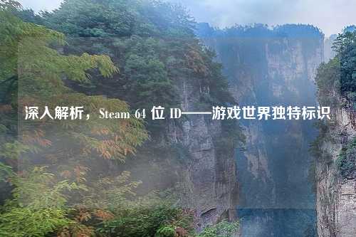 深入解析，Steam 64 位 ID——游戏世界独特标识