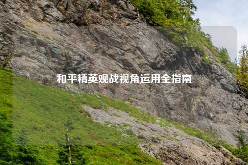 和平精英观战视角运用全指南