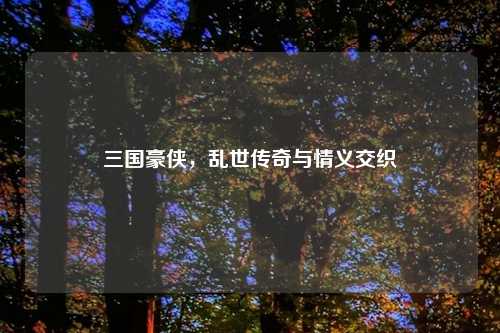 三国豪侠，乱世传奇与情义交织