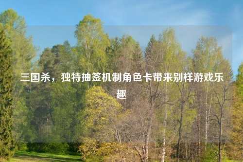 三国杀，独特抽签机制角色卡带来别样游戏乐趣