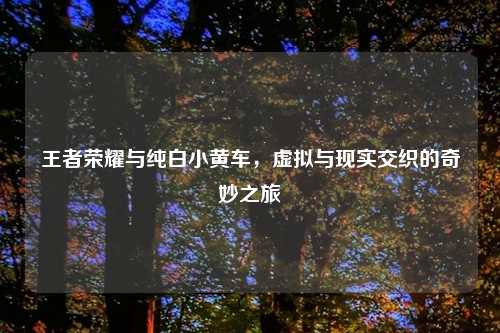 王者荣耀与纯白小黄车，虚拟与现实交织的奇妙之旅