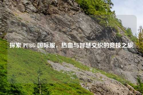 探索 PUBG 国际服，热血与智慧交织的竞技之旅