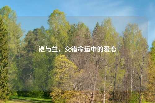 铠与兰，交错命运中的爱恋